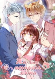 Cover 53049