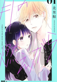 Cover 53081
