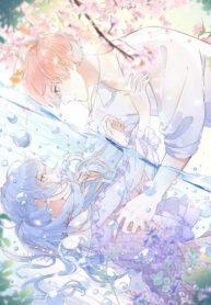 Cover 53117