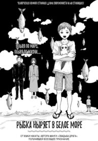 Cover 53223