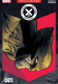 Cover 53337