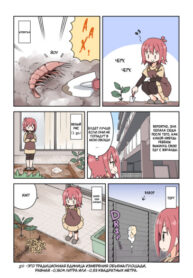 Cover 53556