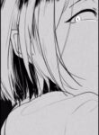 Cover 53656