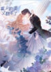 Cover 54030