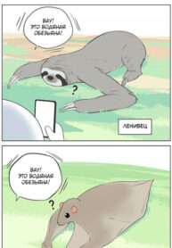 Cover 54891