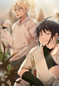Cover 55059
