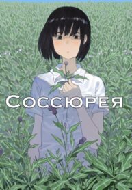 Cover 55141
