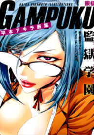Cover 55247