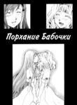 Cover 55575