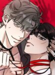 Cover 55856