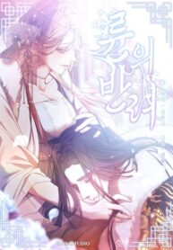Cover 55969