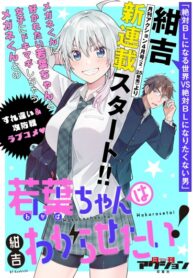 Cover 56056