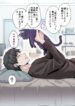Cover 56176