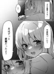 Cover 56312