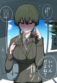 Cover 56381