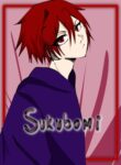 Cover 60335