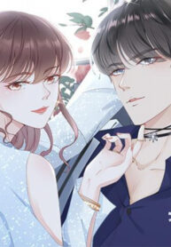 Cover 60430