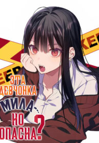 Cover 60462