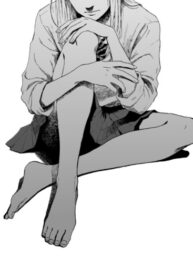 Cover 60895