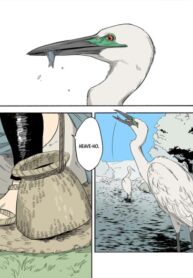 Cover 60989