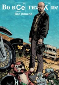 Cover 61045