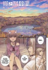 Cover 61063