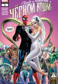 Cover 61141