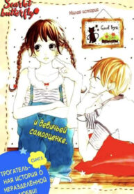 Cover 61165
