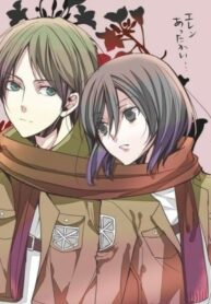Cover 61335
