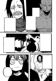 Cover 61371