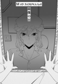 Cover 61527