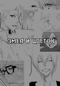Cover 61677