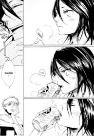 Cover 61751