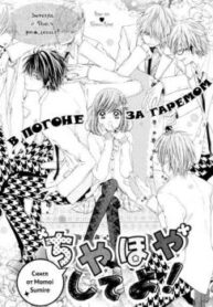Cover 61995