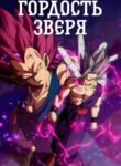 Cover 62080