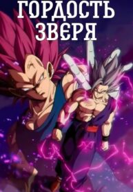 Cover 62080