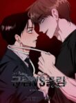 Cover 62167