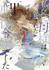 Cover 62245