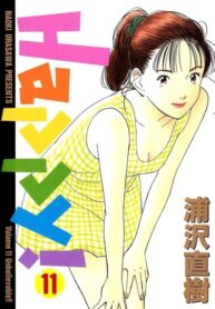 Cover 62411