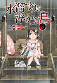 Cover 62498