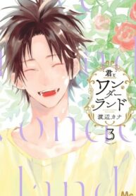 Cover 62632