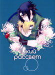 Cover 62720