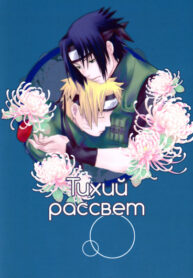 Cover 62720