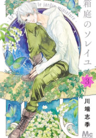 Cover 62993