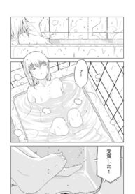 Cover 63067