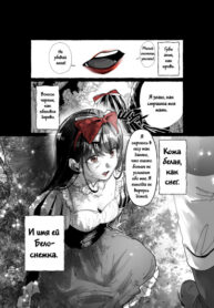 Cover 63079