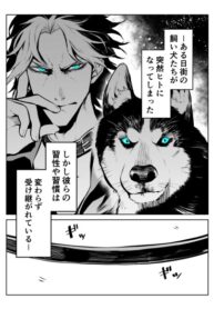 Cover 63211