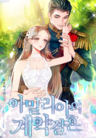 Cover 63316
