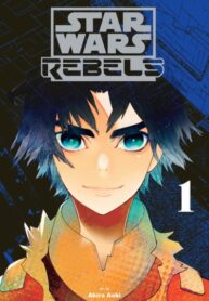 Cover 63335