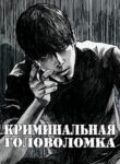 Cover 63421